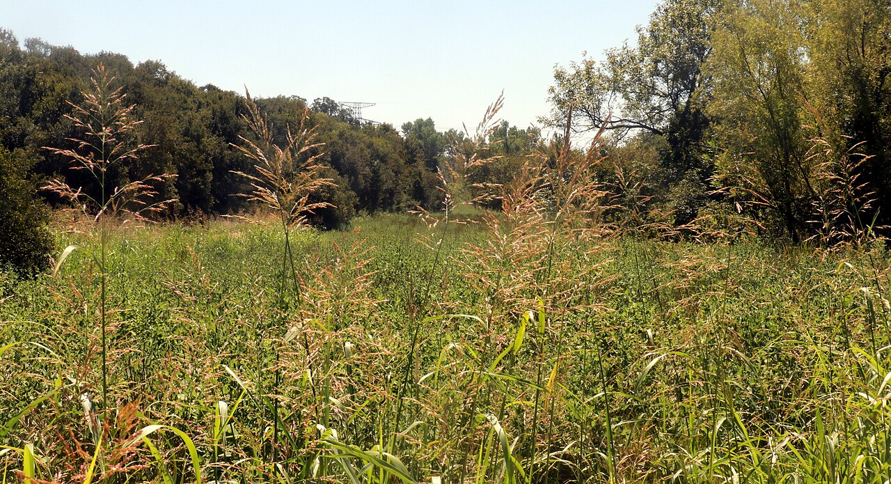 Lewisville Lake nature preserve